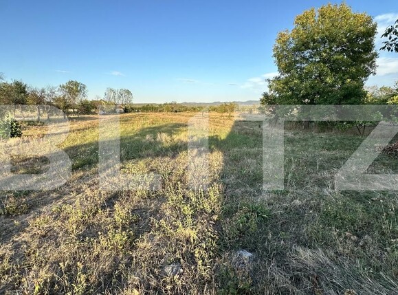 Casa de vânzare 4 camere Beriu - 205323CV | BLITZ Deva | Poza14