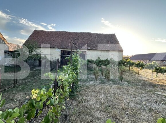 Casa de vânzare 4 camere Beriu - 205323CV | BLITZ Deva | Poza15
