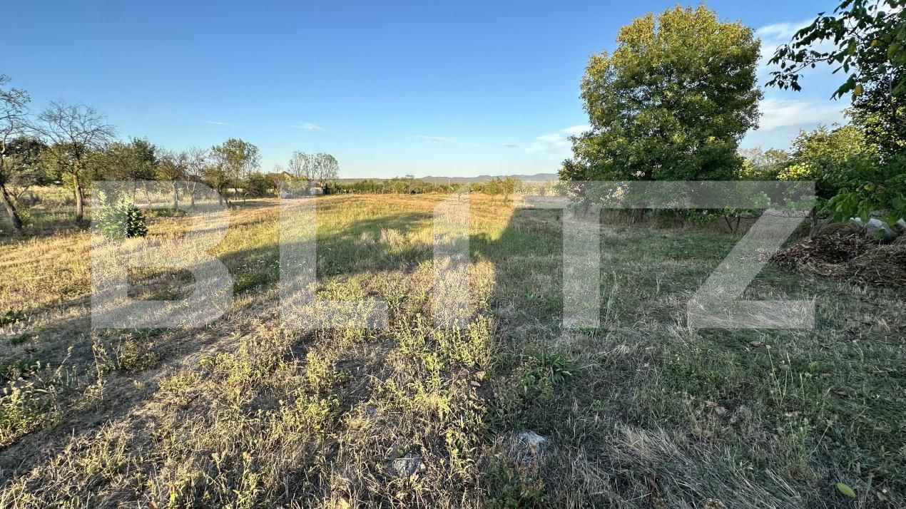 Casa de vânzare 4 camere Beriu - 205323CV | BLITZ Deva | Poza14