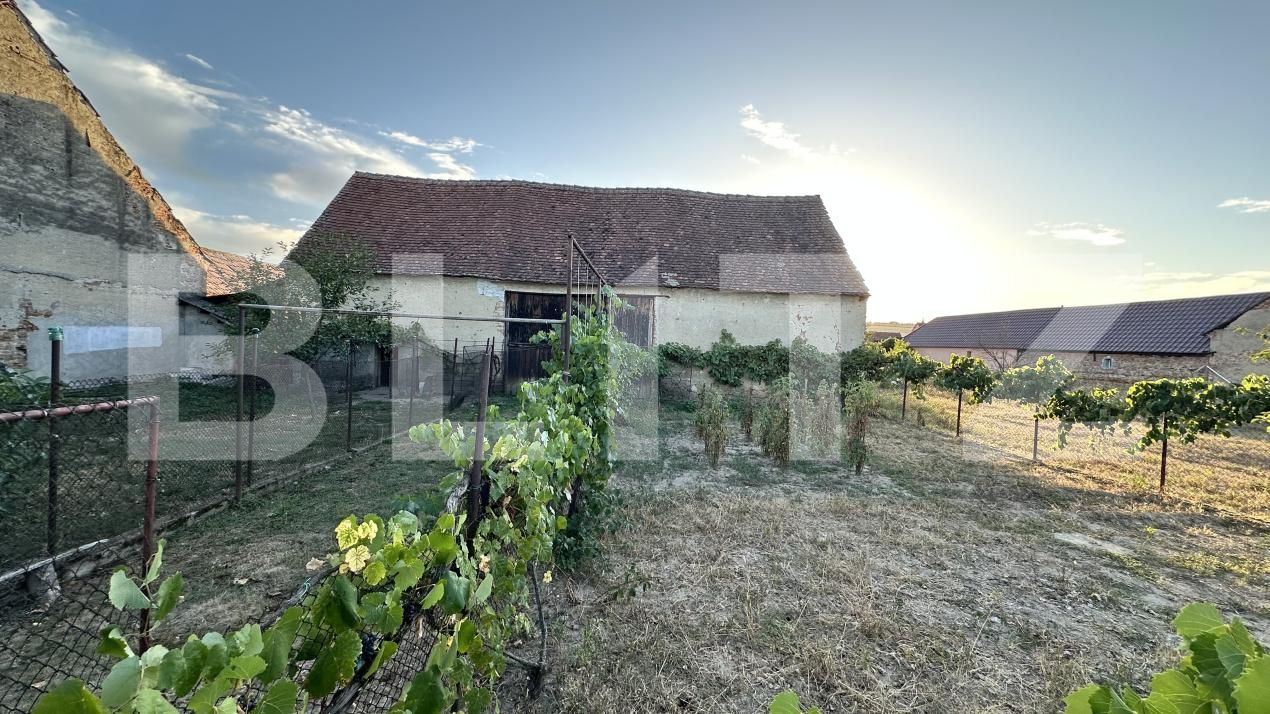 Casa de vânzare 4 camere Beriu - 205323CV | BLITZ Deva | Poza15