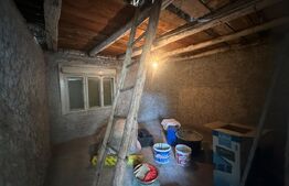 Casa 80 mp, teren 2717 mp intravilan, zona Branisca