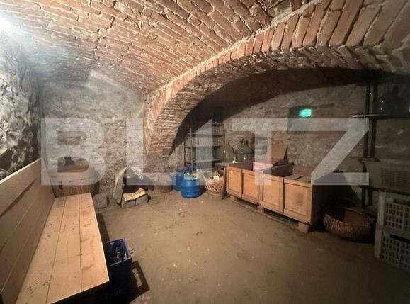 Casa de vânzare 3 camere Branisca - 205368CV | BLITZ Deva | Poza7