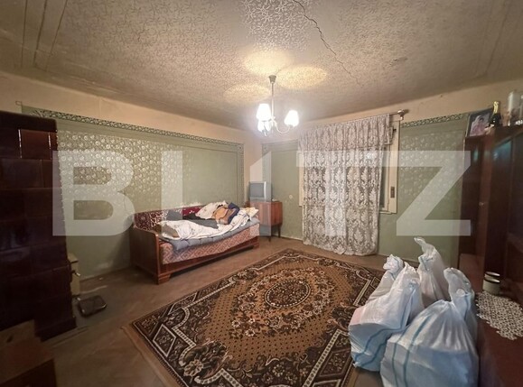 Casa de vânzare 3 camere Branisca - 205368CV | BLITZ Deva | Poza2