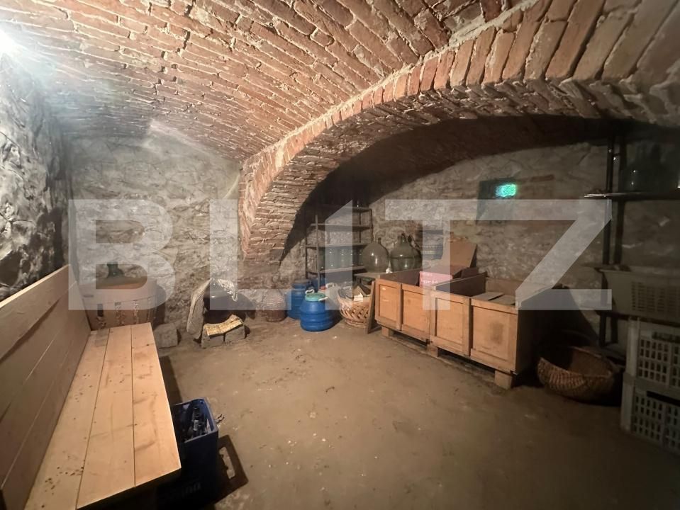 Casa de vânzare 3 camere Branisca - 205368CV | BLITZ Deva | Poza7