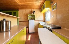Casa de vanzare, 300 mp, teren 1023 mp, zona Zarand