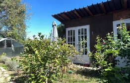 Casa de vanzare, 300 mp, teren 1023 mp, zona Zarand