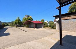 Casa de vanzare, 300 mp, teren 1023 mp, zona Zarand