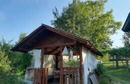 Casa 85 mp, teren 2.235 mp, zona Brad