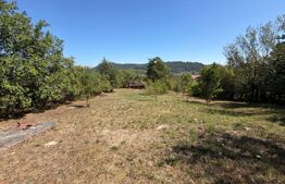 Casa 85 mp, teren 2.235 mp, zona Brad