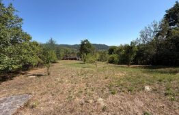 Casa 85 mp, teren 2.235 mp, zona Brad