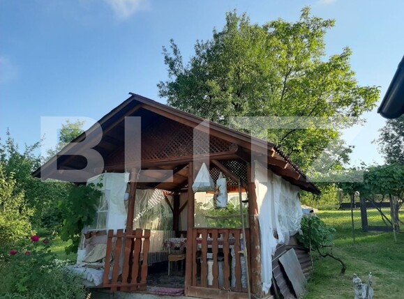 Casa de vânzare 2 camere Brad - 205823CV | BLITZ Deva | Poza9