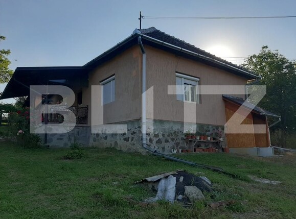 Casa de vânzare 2 camere Brad - 205823CV | BLITZ Deva | Poza1