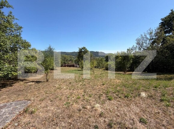 Casa de vânzare 2 camere Brad - 205823CV | BLITZ Deva | Poza8
