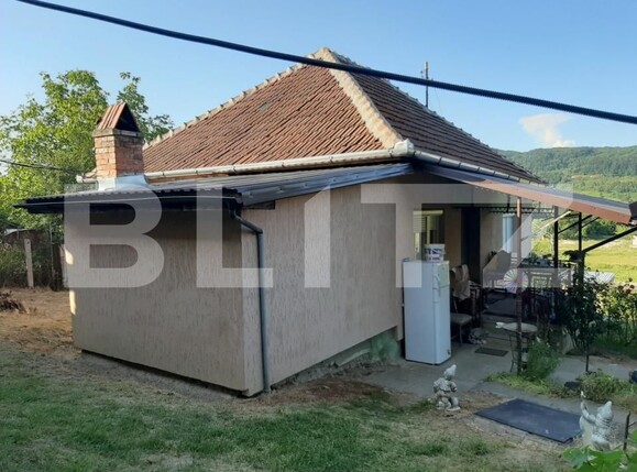 Casa de vânzare 2 camere Brad - 205823CV | BLITZ Deva | Poza10