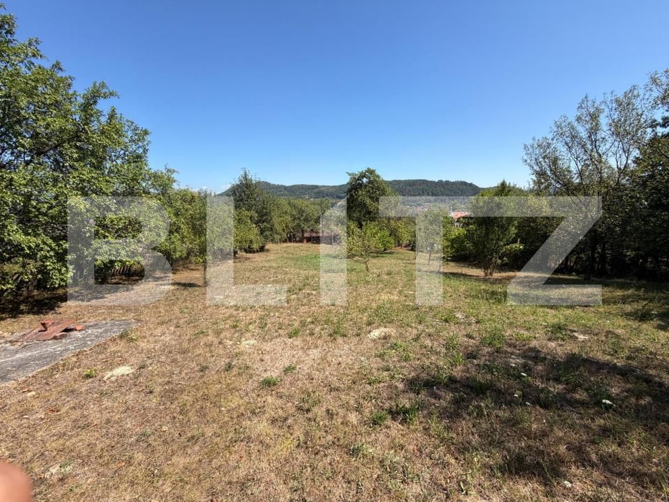 Casa de vânzare 2 camere Brad - 205823CV | BLITZ Deva | Poza7