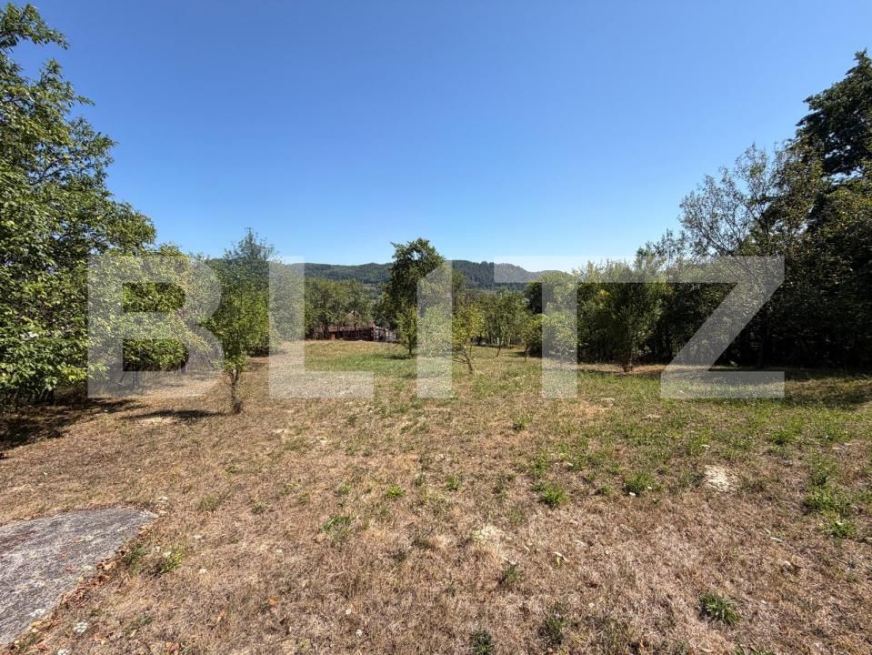 Casa de vânzare 2 camere Brad - 205823CV | BLITZ Deva | Poza8