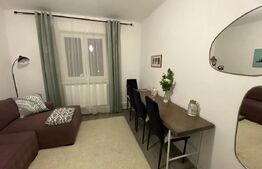 Apartament 2 camere de vanzare, 40 mp, zona Lupeni 