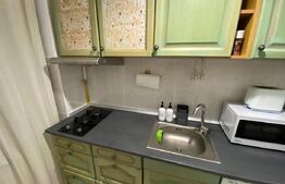 Apartament 2 camere de vanzare, 40 mp, zona Lupeni 