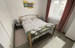 Apartament 2 camere de vanzare, 40 mp, zona Lupeni 