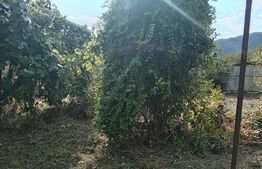 Casa de vanzare, 73 mp, teren 539 mp, zona Hondol