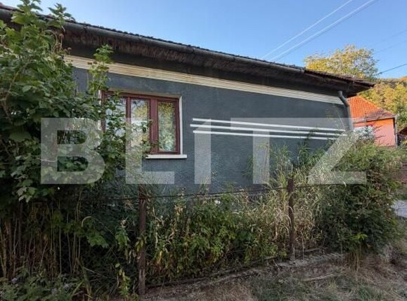 Casa de vânzare 3 camere Hondol - 206023CV | BLITZ Deva | Poza1