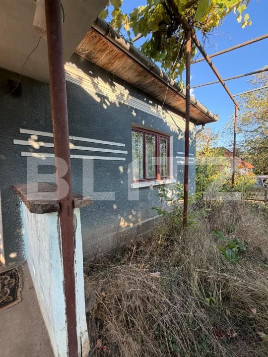 Casa de vânzare 3 camere Hondol - 206023CV | BLITZ Deva | Poza2