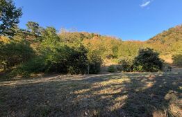 Casa de vaznare, 74 mp, teren 9.990, zona Hondol