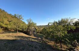 Casa de vaznare, 74 mp, teren 9.990, zona Hondol