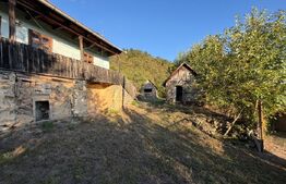 Casa de vaznare, 74 mp, teren 9.990, zona Hondol