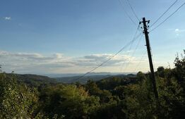 Casa de vaznare, 74 mp, teren 9.990, zona Hondol