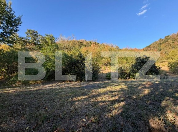 Casa de vânzare 2 camere Hondol - 206034CV | BLITZ Deva | Poza7