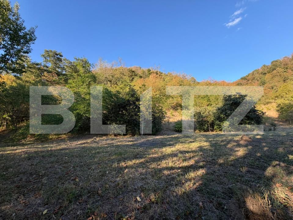 Casa de vânzare 2 camere Hondol - 206034CV | BLITZ Deva | Poza7
