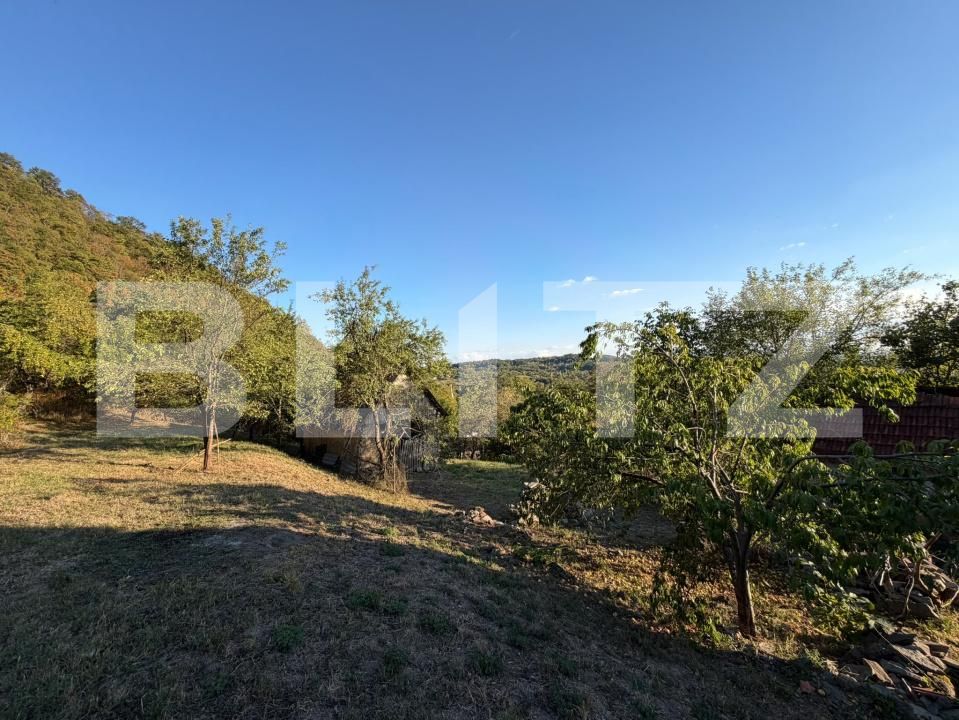 Casa de vânzare 2 camere Hondol - 206034CV | BLITZ Deva | Poza5