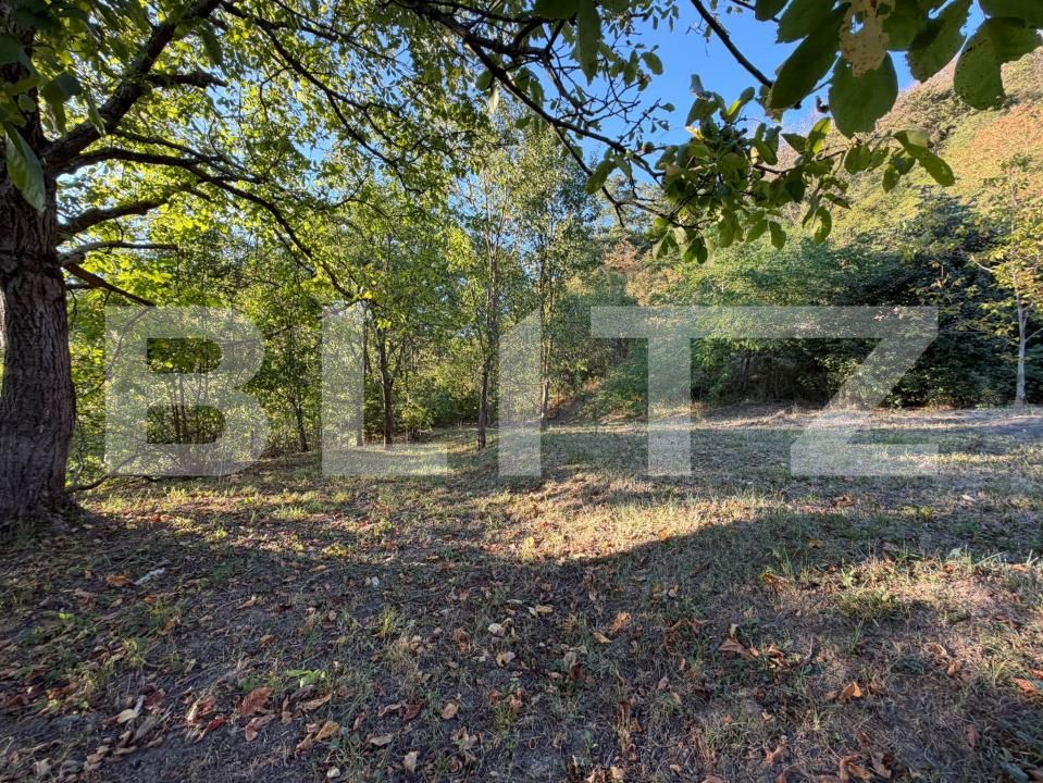 Casa de vânzare 2 camere Hondol - 206034CV | BLITZ Deva | Poza6