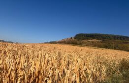Teren intravilan, 2.900 mp, zona Soimus