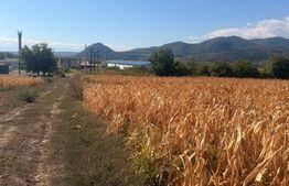 Teren intravilan, 2.900 mp, zona Soimus