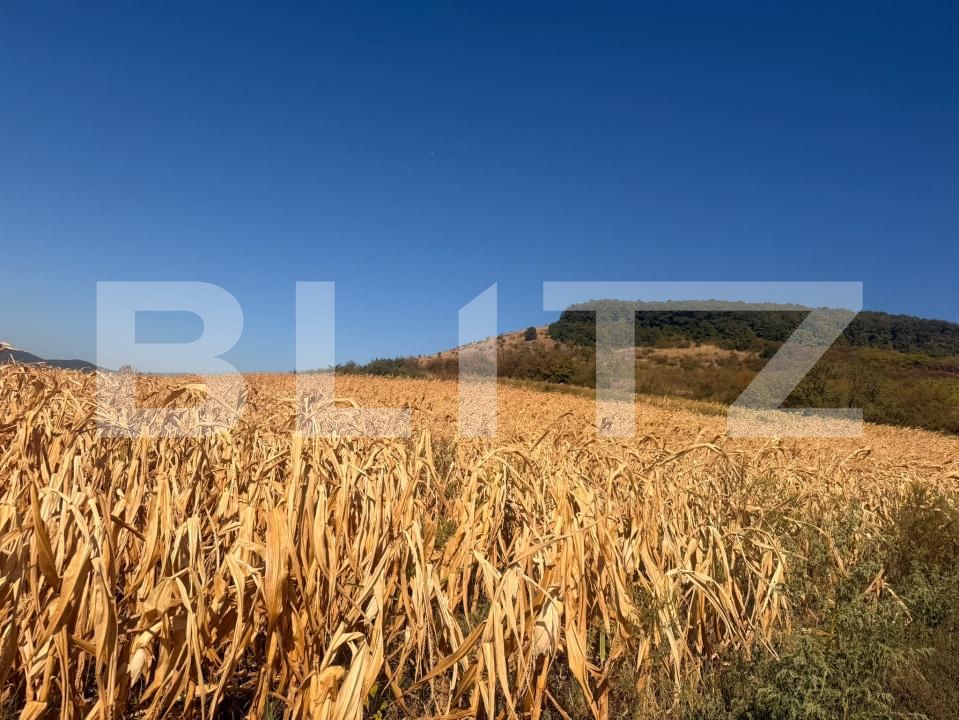 Teren de vânzare Soimus - 206056TV | BLITZ Deva | Poza3