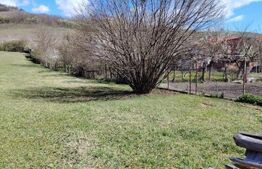 Casa de vanzare, 280 mp , teren 3.500 mp, zona Pestisu Mic