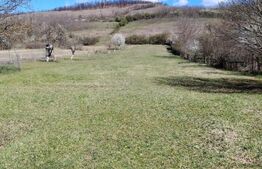 Casa de vanzare, 280 mp , teren 3.500 mp, zona Pestisu Mic
