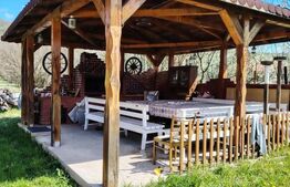 Casa de vanzare, 280 mp , teren 3.500 mp, zona Pestisu Mic