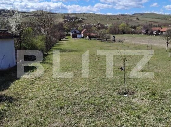 Casa de vânzare 6 camere Pestisu Mic - 206107CV | BLITZ Deva | Poza7