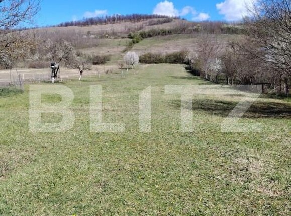 Casa de vânzare 6 camere Pestisu Mic - 206107CV | BLITZ Deva | Poza5