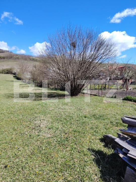 Casa de vânzare 6 camere Pestisu Mic - 206107CV | BLITZ Deva | Poza6