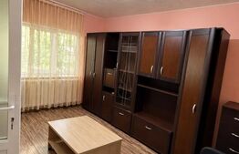 Garsonieră în Simeria - Parter - Ideală pentru locuit sau investiție 