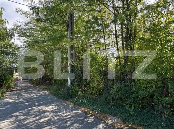 Teren de vânzare Central - 206316TV | BLITZ Deva | Poza1
