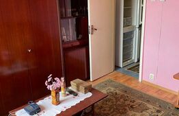 Apartament 2 camere, 46 mp, zona Bulevardul Dacia