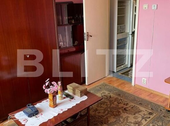 Apartament de vânzare 2 camere Hunedoara - 206326AV | BLITZ Deva | Poza3