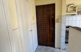 Apartament 2 camere de vanzare, 48 mp, zona Gojdu
