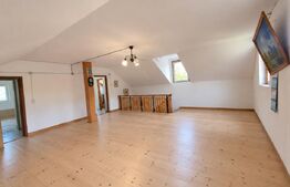 Casa 240 mp, teren 1000 mp, zona Rapas