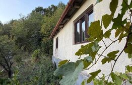 Casa de vanzare, 295 mp, teren 3.596 mp, zoan Hondol